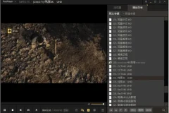 视频播放器 PotPlayer 240618(1.7.22259) 去广告绿色版