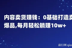 内容卖货赚钱：0基础打造卖爆品，每月轻松躺赚10w+