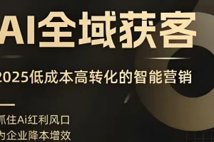 AI全域获客实训营，2025低成本高转化的智能营销，精准找客，高效营销