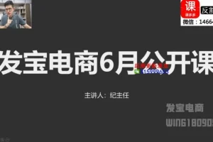 拼多多运营必修课：0基础起店到爆单实战