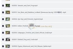 BBC户外自然科普儿童英文节目 Go Wild (视频+音频)