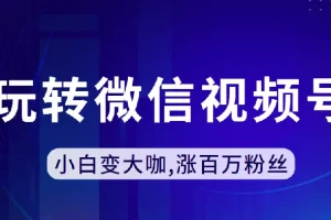 玩转微信视频号,小白变大咖,涨百万粉丝