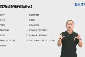 财务BP实战特训：从入门到年薪百万的业财融合课