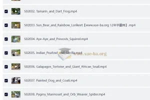 BBC户外自然科普儿童英文节目 Go Wild (视频+音频)