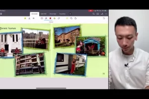 子龙英语大猫2级20节课程
