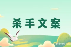 108封大师手抄赚钱信,杀手文案疯狂变现，掌握月入百万的文案密码