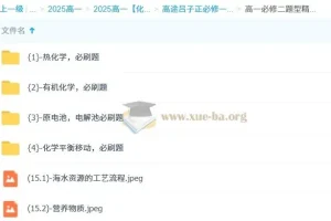 吕子正 高中化学 2025高一化学修一必修二精华课