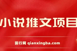 小说推文项目，新人操作6天，每天3位数分享课