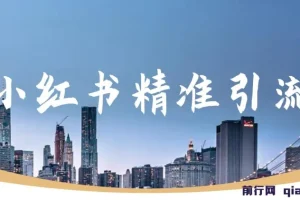 小红书精准引流，减肥、祛痘、创业粉单人日引100+