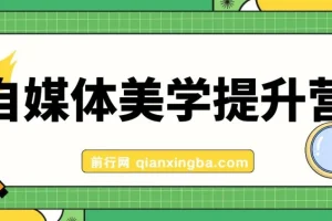 自媒体-美学提升营 手把手带你提升-品牌审美，做一个有调性博主（11节课）