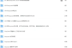 《DeepSeek大汇总，目前全网最全的DeepSeek》[pdf]