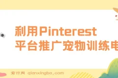 利用Pinterest平台推广宠物训练电子书，不用创作内容，只需要每天利用业余时间，上传宠物图片就能挣美金!