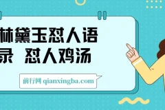 林黛玉怼人语录 怼人鸡汤  AI产出图片视频文案 每天十分钟 附提示词文案库