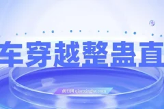 开车穿越无人直播玩法，简单好入手，纯纯就是捡米