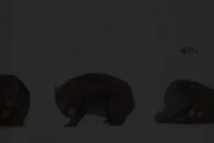 小奇绘本故事大全（高清1080P+PDF）