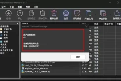 IDM下载器(Internet Download Manager)官方最新版永久激活工具和绿色版