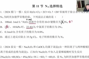 2025李政高三化学全年班：实验+原理+有机冲刺特训