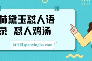 林黛玉怼人语录 怼人鸡汤  AI产出图片视频文案 每天十分钟 附提示词文案库