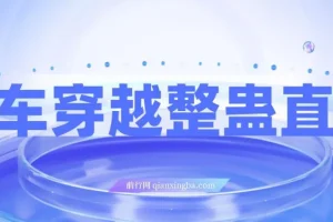 开车穿越无人直播玩法，简单好入手，纯纯就是捡米