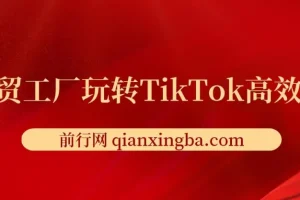 外贸工厂玩转TikTok高效获客，多种引流方式/账号定位/爆款打造/全方位讲解
