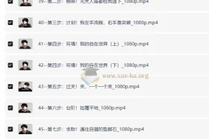 小学初中高中生以及家长必读[高效学习之路 47节课][Mp4][24GB]