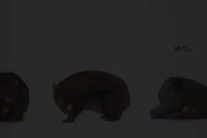 小奇绘本故事大全（高清1080P+PDF）