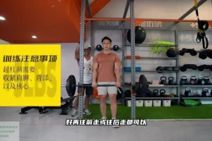 小萝卜四分化高阶健身课程：全年增肌周期训练指南