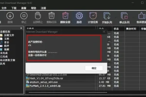 IDM下载器(Internet Download Manager)官方最新版永久激活工具和绿色版