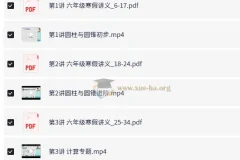 小学数学 6年级数学 刘庆涛 寒假