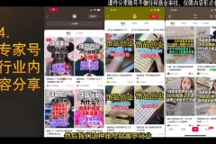 【抖音+小红书饰品变现实战课：从找货到AI模特一站式教学】