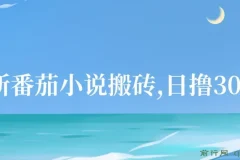 最新番茄小说搬砖，日撸300＋！全自动操作，可矩阵放大