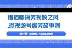 借猫咪搞笑视频之风，掀视频号爆笑故事潮，轻松日入四位数，无门槛快速入门!