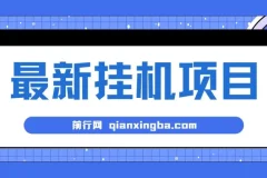 2024最新全自动挂机项目，看广告得收益 小白无脑日入200+ ,可无限放大