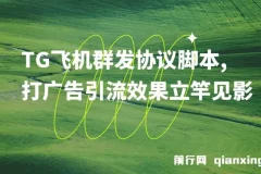 【引流必备】TG飞机群发协议脚本，批量采集群私聊，打广告引流效果立竿见影