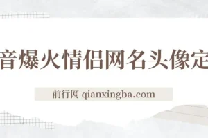 抖音爆火情侣网名头像定制，简单易操作，轻松日入300+，无需养号