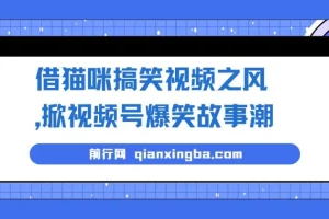 借猫咪搞笑视频之风，掀视频号爆笑故事潮，轻松日入四位数，无门槛快速入门!