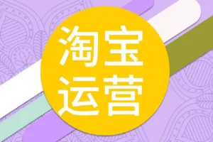 电商人修炼手册，从0到1，手把手教你理解淘宝运营底层逻辑