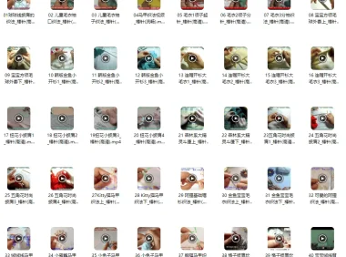 手工织毛衣棒针编织练习200实例包括【毛衣,帽子,手套,围巾,鞋子】