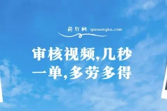 审核视频，几秒一单，多劳多得，新人小白一天轻松 300+
