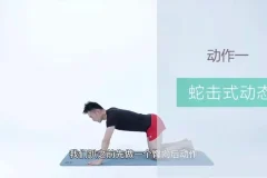 21天明星同款减脂塑形训练：告别赘肉，练出天鹅臂、小蛮腰、翘臀