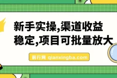新手实操单号日入500+，渠道收益稳定，项目可批量放大