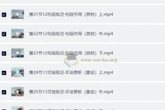 语文五哥 文学素养批注家长必修课 [小学]