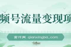 视频号流量变现，每天几分钟，收入100+，真正的小而美项目