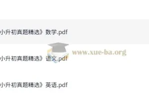 小升初真题精选语数英