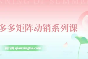 拼多多店铺矩阵玩法：低客单自然流矩阵 / 轻付费矩阵 动销 / 核心权重提升