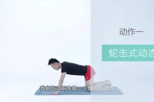 21天明星同款减脂塑形训练：告别赘肉，练出天鹅臂、小蛮腰、翘臀