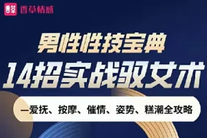 《男性性技宝典视频课》14招实战驭女术