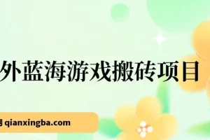 海外蓝海游戏搬砖项目，单机日入500+，可做兼职副业，小白闭眼入
