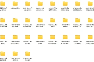 毛衣（女士）编织精品款式70个实例