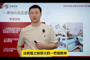 2024拼多多运营12讲：爆款打造与流量裂变